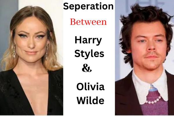 Which state is Harry Styles' relationship with Olivia Wilde in? -