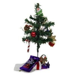 Buy Christmas Tree N Chocolates Online Same Day & Midnight Delivery Across India @ Best Price  - OyeGifts