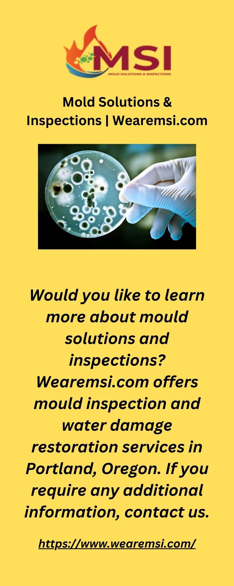 Mold Solutions & InspectionsMold Solutions & Inspections | Wearemsi.com - Mold Solutions & Inspections - Medium