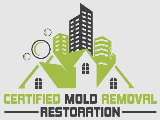 Certified Mold Removal