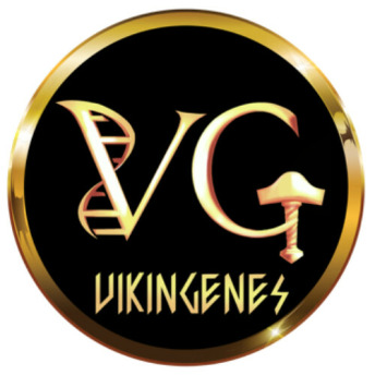 Vikingenes Reviews Experiences & Reviews