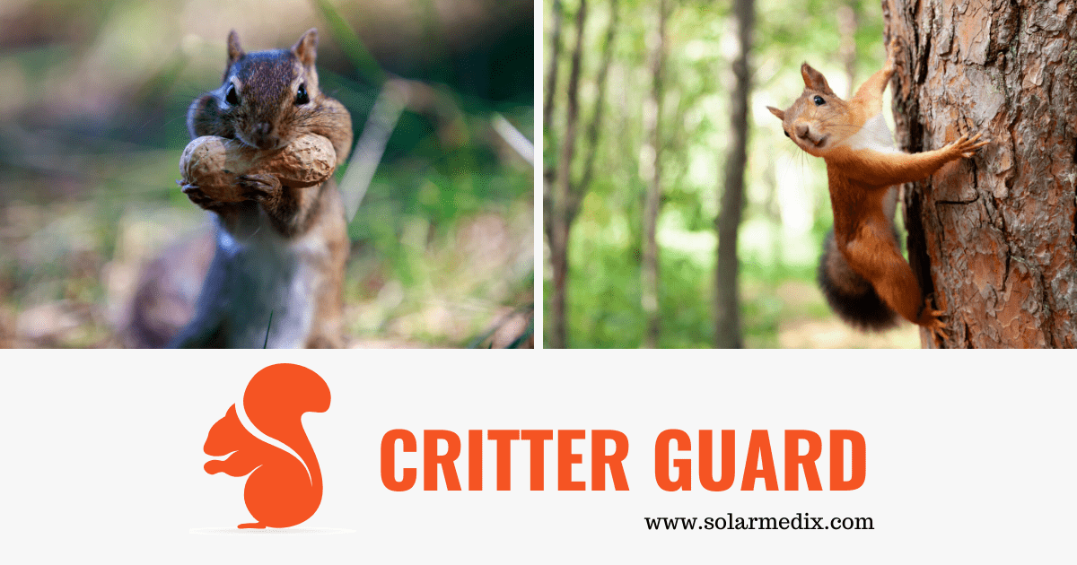 Solar Panel Critter Guard Installation in NJ & NY | Squirrels Under Solar Panels?