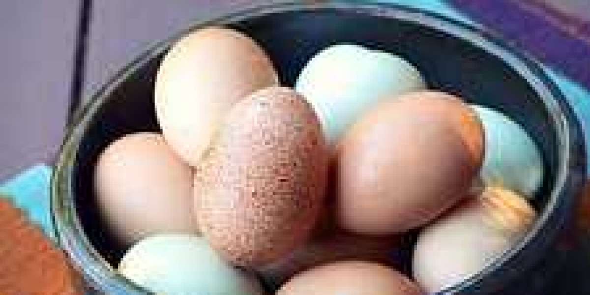 Cage Free Eggs Market Research Dynamics, Driving Factors, and Applications by 2030