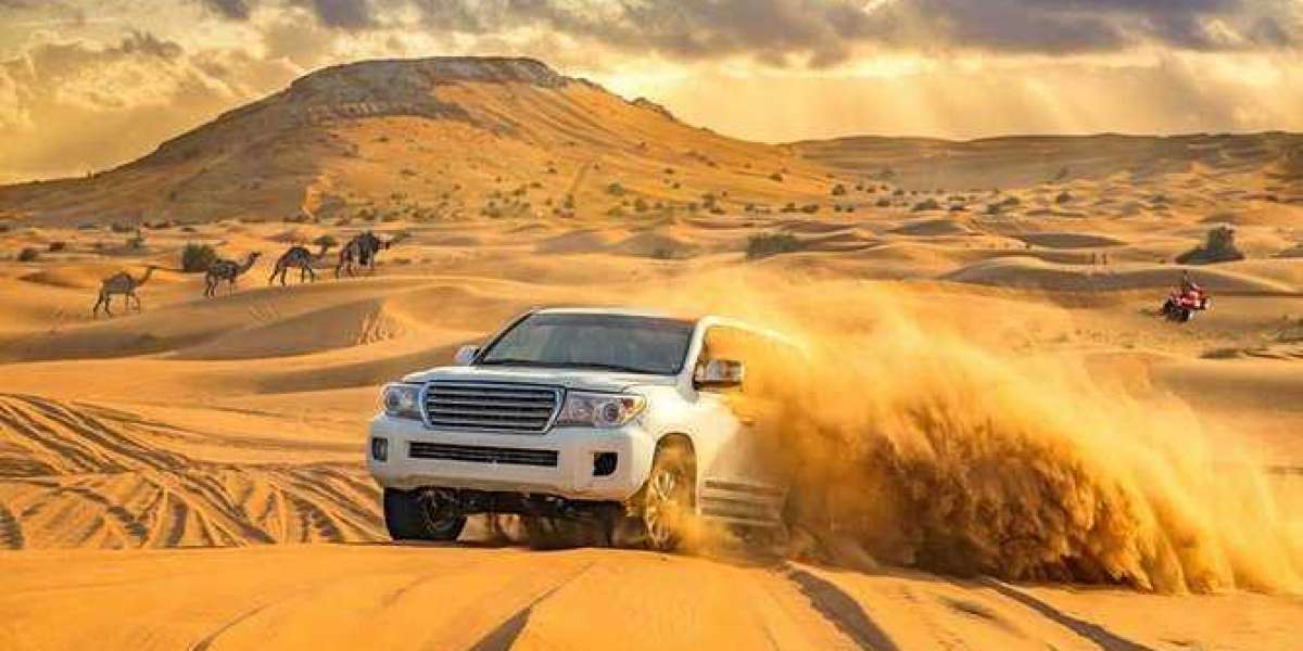 A Journey to the Top of the UAE
