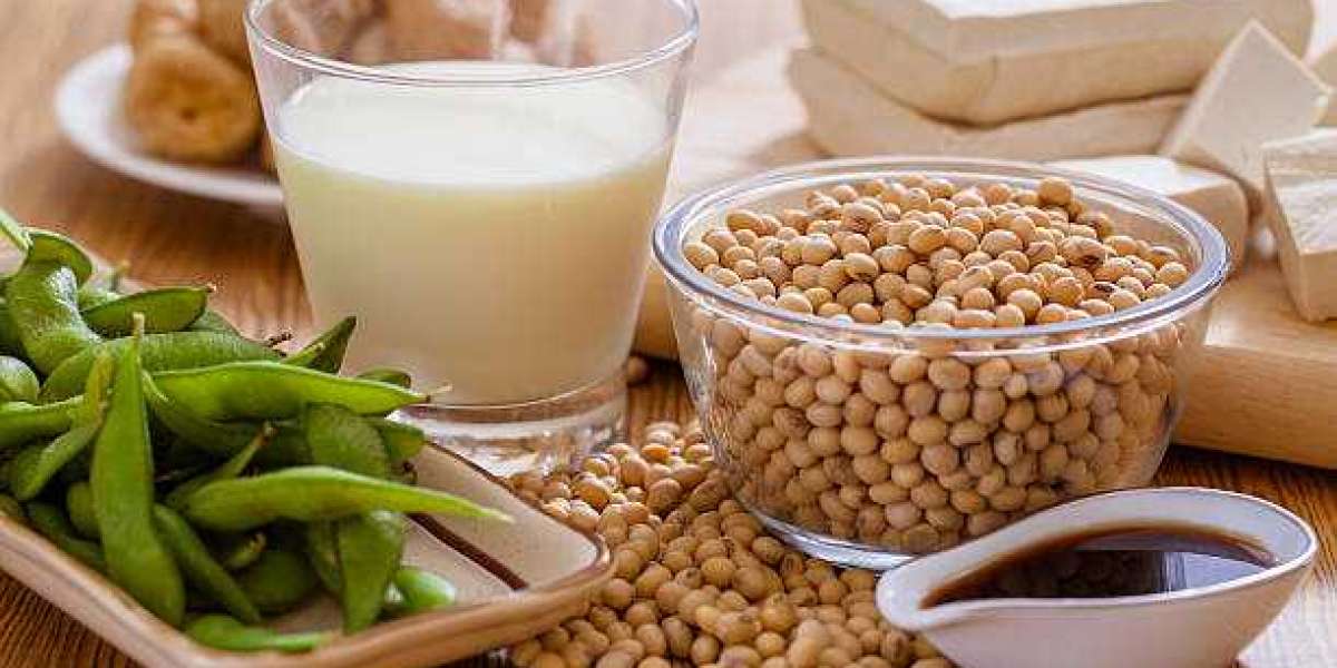 Soy Food Market Overview, Global Demand and Regional Analysis forecast year 2030