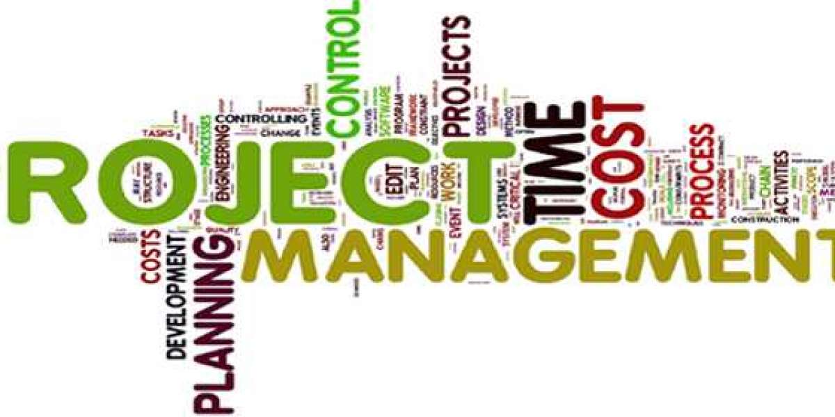 Expert Project Management Assignment Help In USA