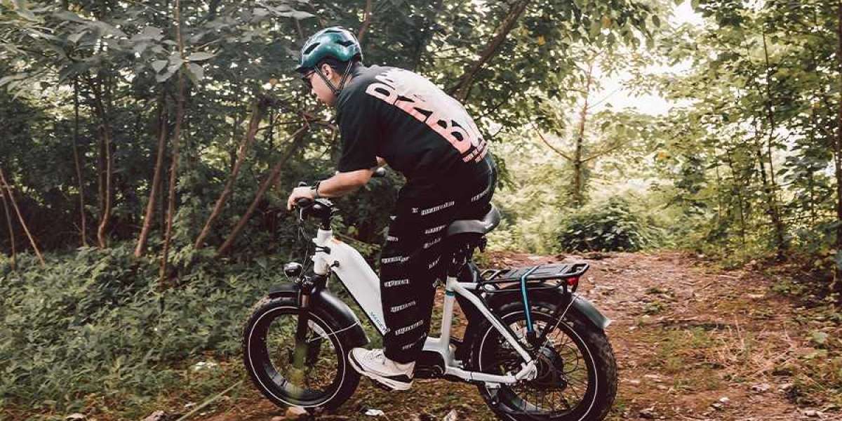 Meet the Magcyclce Ocelot Pro - Best Long-Range Ebike