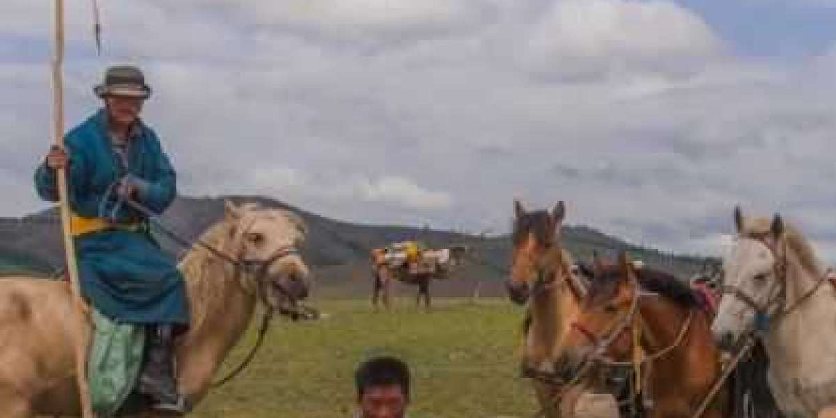 Mongolia Cultural Tour