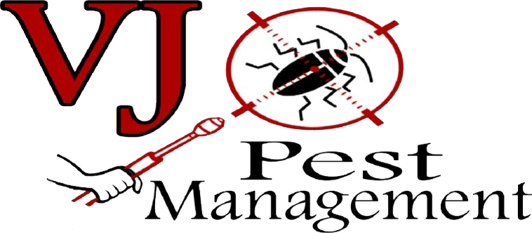 Effective Pest Control & Exterminator Services - VJ Pest