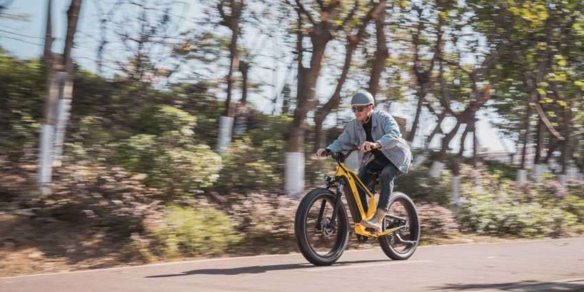 6 mistakes to avoid when buying a softail ebike
