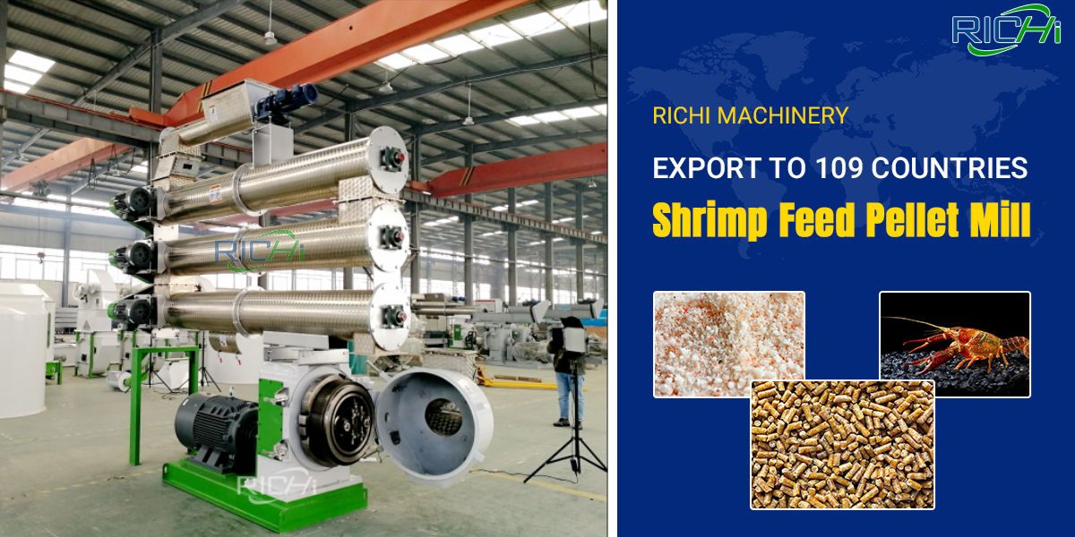 Factory Directly Offered CE 0.1-6T/H Shrimp Feed Machine