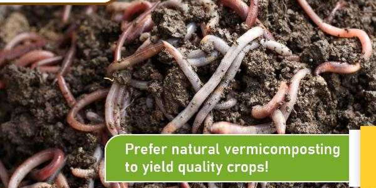 Vermicompost in chennai | SS Vermicompost Industry
