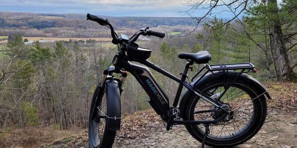Can I Ride an Electric Mountain Bike without a License?