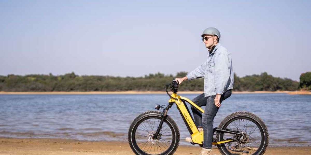 Is a Softail Ebike Good for Touring?
