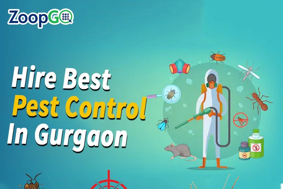 How An Effective Pest Control in Gurgaon Can Knock Out Dangerous Diseases