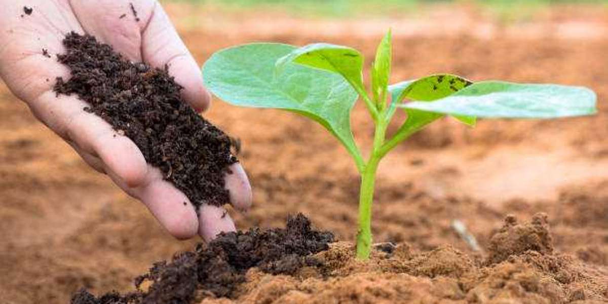 Organic Fertilizers Market size is expected to grow to USD 32610.76 million by 2033