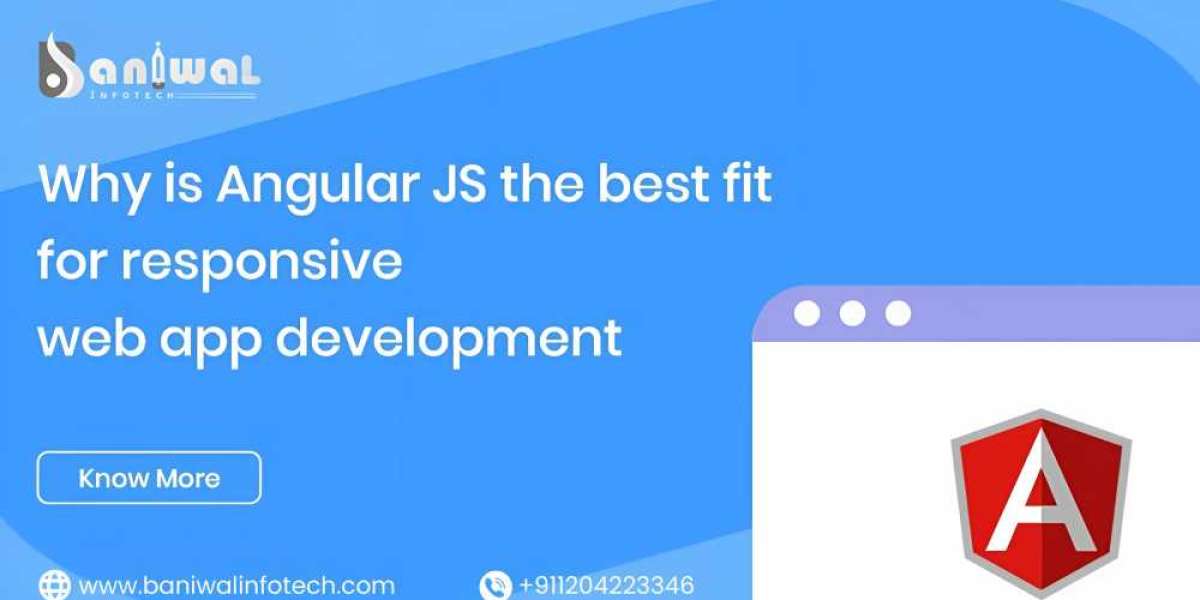 AngularJs Development Services for web application #baniwalinfotech
