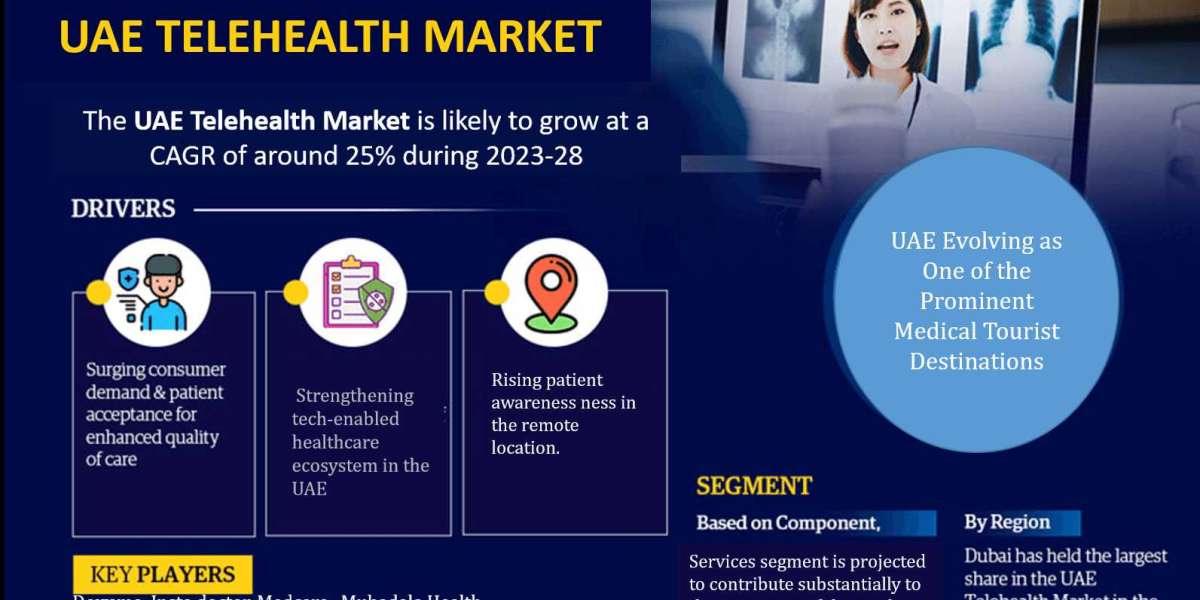 UAE Telehealth Market Share, Growth, Revenue, Scope, Business Challenges, Investment Opportunities and Forecast 2028