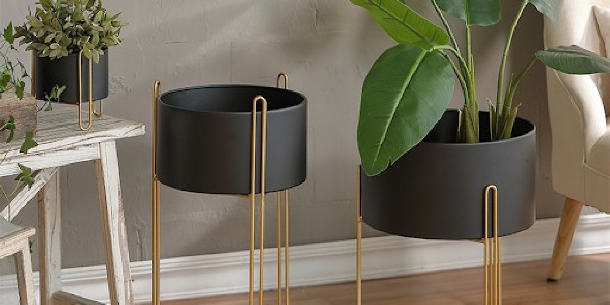 Decor And Plant Health Perks of Using Plant Pot Stand in Your Space