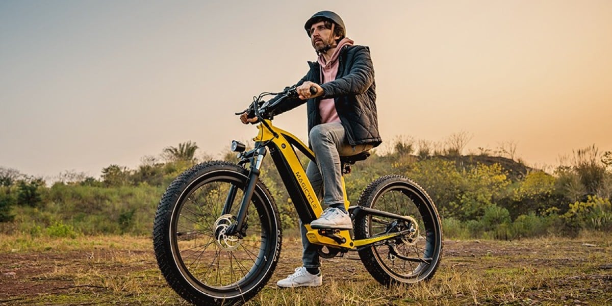 All Purpose Electric Bike: Meet the Magicycle Full suspension Ebike