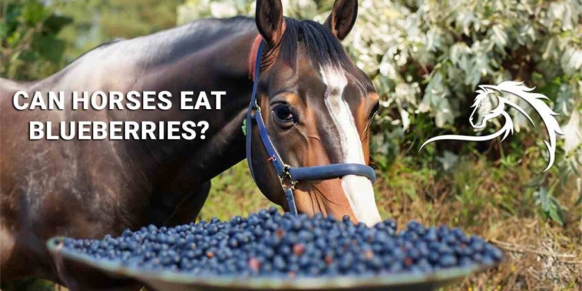 Can Horses Eat Blueberries?