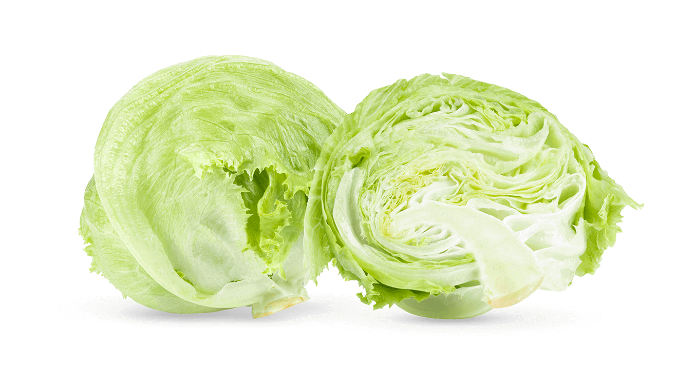 Why Cabbage Should Not Be Included In Horses Diet - Bella's Diet