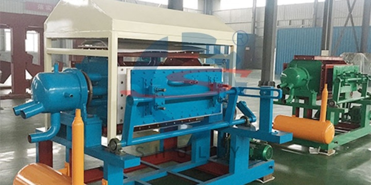 Egg Tray Machine Zambia for Sale: Revolutionizing Packaging Solutions