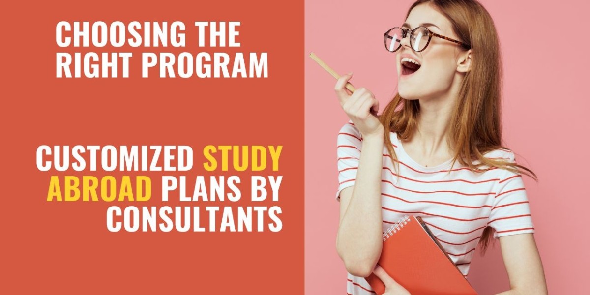 Choosing the Right Program: Customized Study Abroad Plans by Consultants