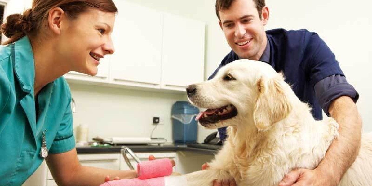 Animal Wound Care Market Size, Share, Growth  2022 Forecast to 2032.