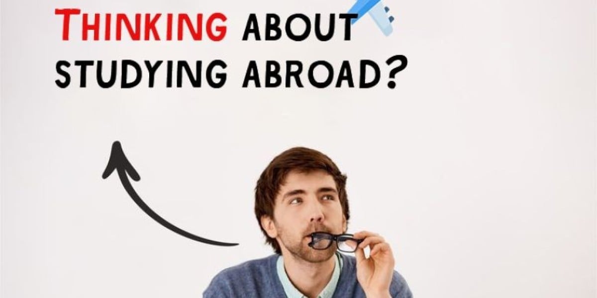 The Ultimate Guide to Studying Abroad: Tips and Insights