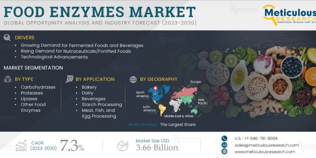 Food Enzymes Market Overview (2023 - 2030)
