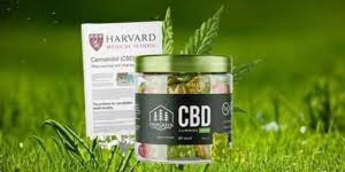 1The Ultimate Glossary of Terms About Evergreen CBD Gummies