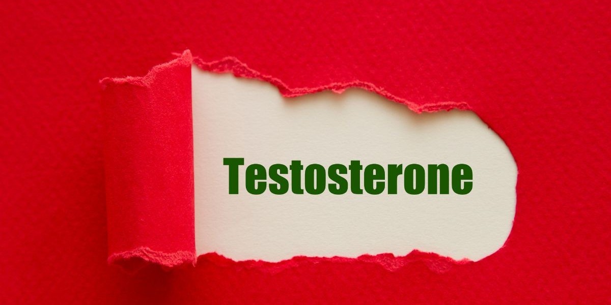 Testosterone and Aging: Strategies for Older Men