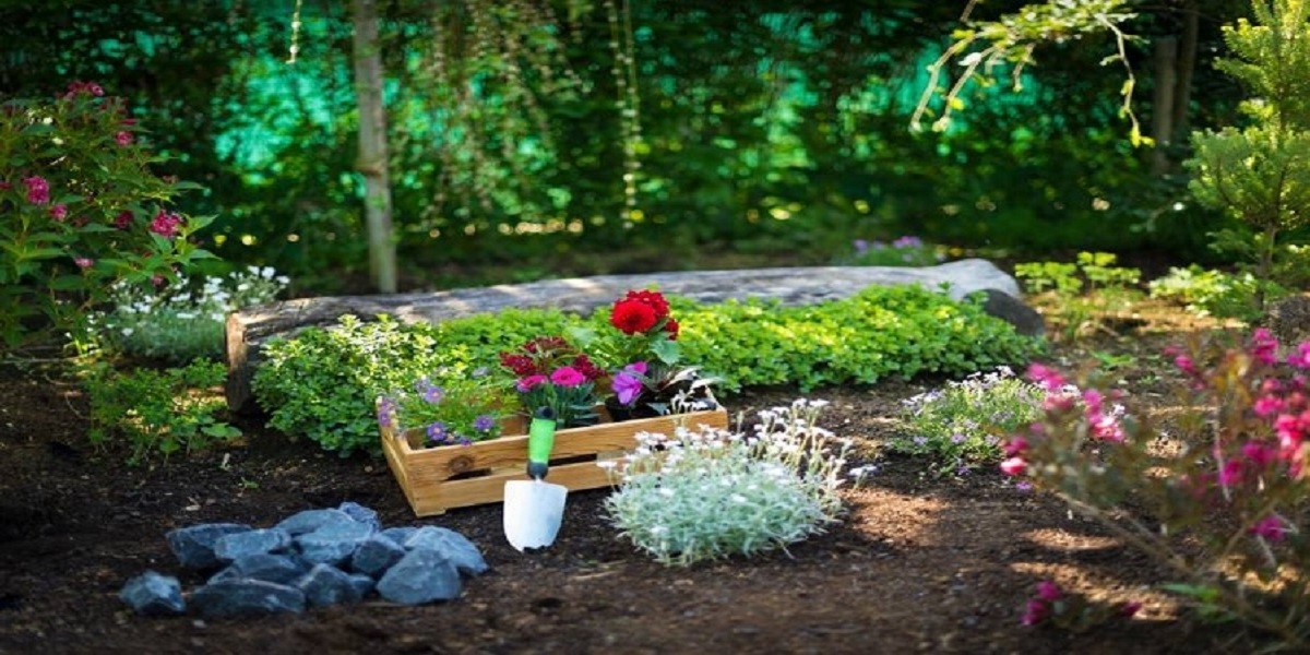 Improve Air Quality with Skilled Landscape Gardeners Melbourne
