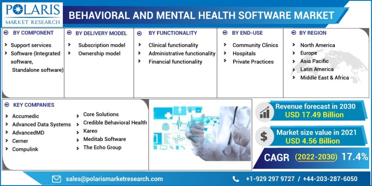 Behavioral and Mental Health Software Market: Industry Size, Growth Potential, and Market Segmentation Strategies for Le