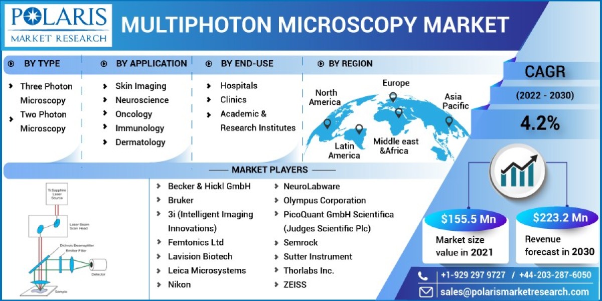 Multiphoton Microscopy Market Research Report: Latest Industry Status and Future Growth Outlook 2032