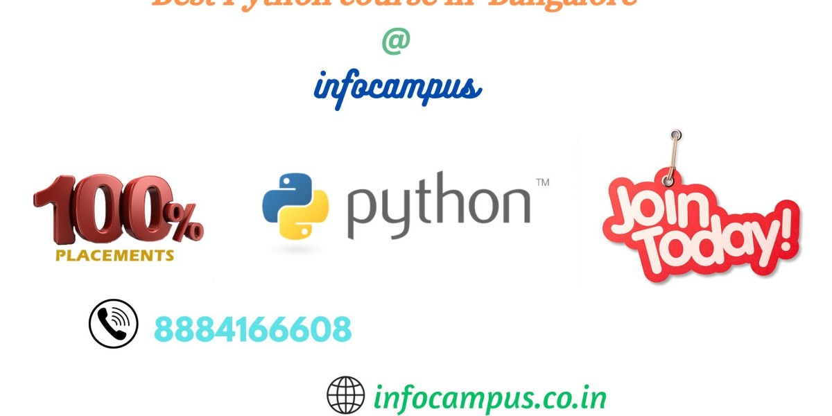The Importance of Python in the Modern World