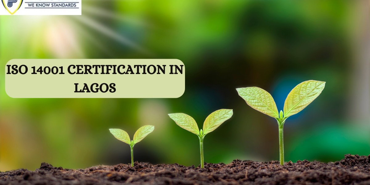 Explain the process of obtaining an organization’s ISO 14001 certification in Lagos?
