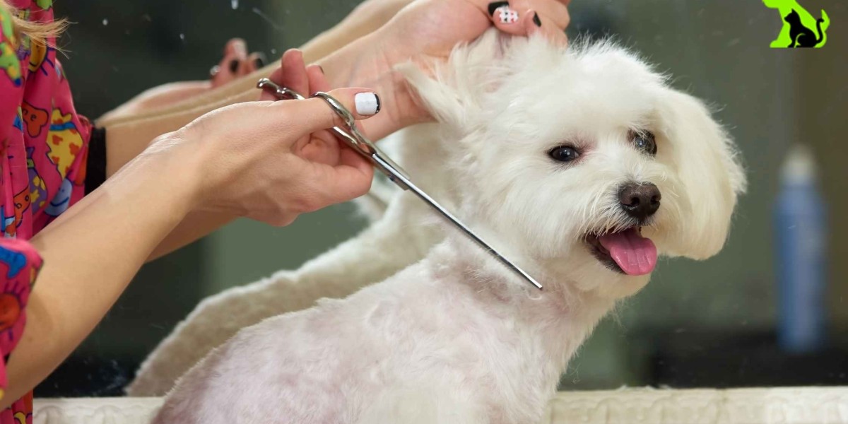 The Complete Guide to Dog Grooming in North York