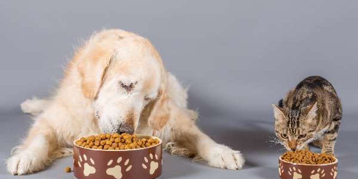 Pet Food Manufacturing Plant Project Report: Comprehensive Business Plan, Manufacturing Process, and Cost Analysis | Syn