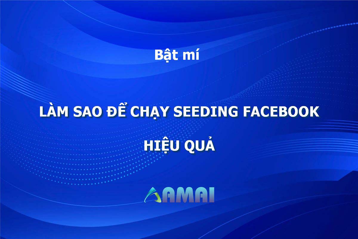 Làm sao để chạy Seeding Facebook hiệu quả?