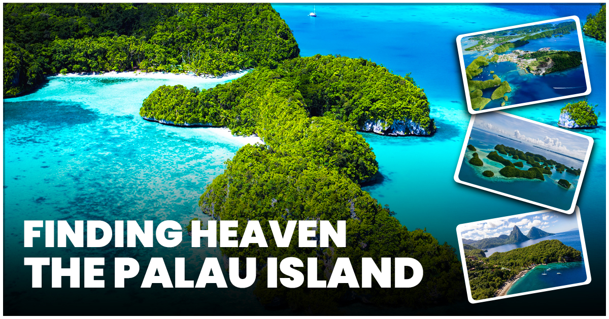 Exploring Paradise on the Palau Island - Trending Blogers