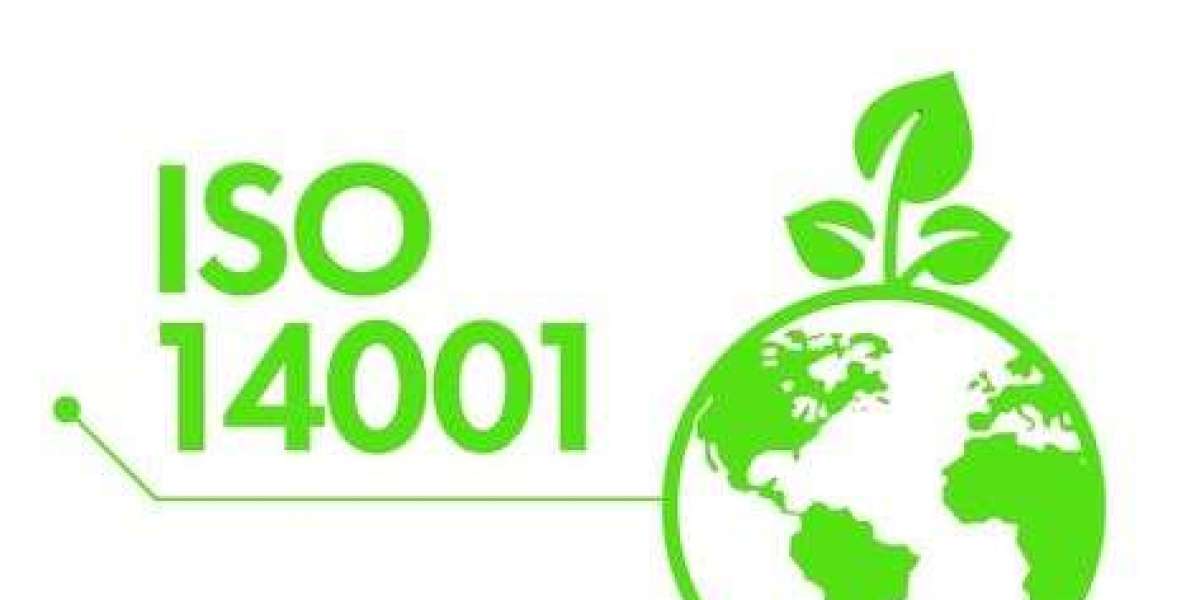How Sustainable Practices and ISO 14001 Certification Go Hand in Hand?