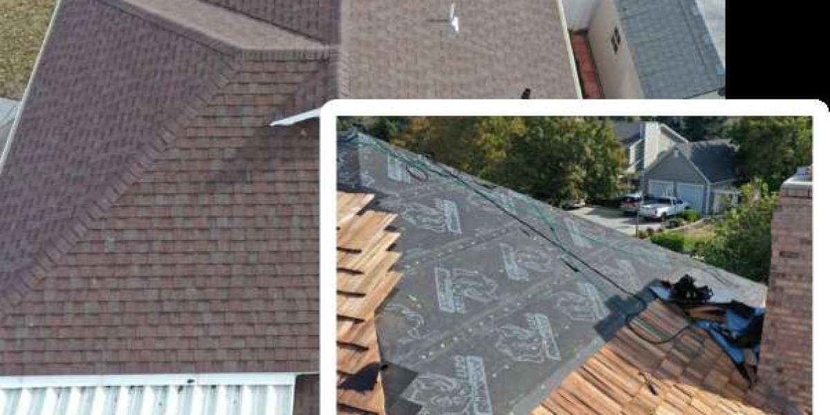 Navigating the World of Roofing Contractors