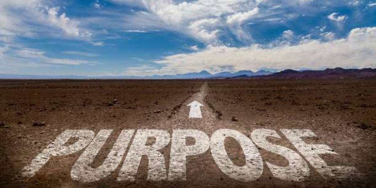 Finding Your Purpose: The Process and Life Purpose Coaching