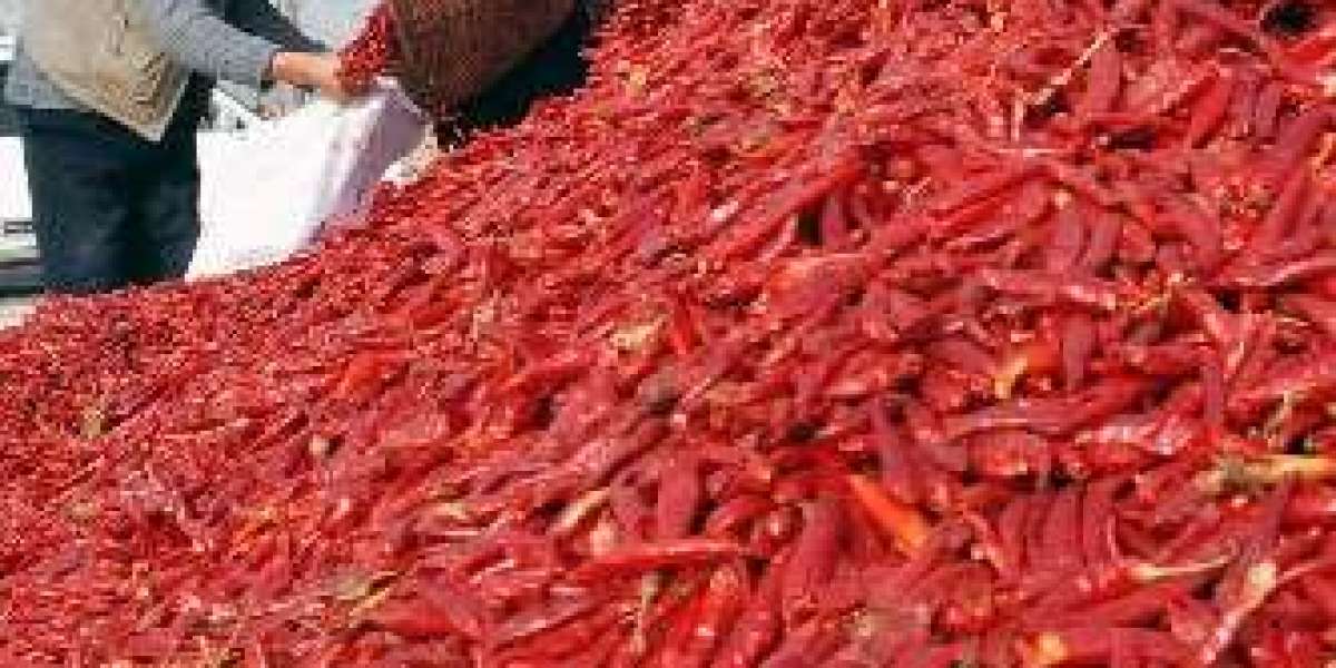 Project Report on Requirements and Costs for Setting up a Chili Pepper Processing Plant 2023: Industry Trends and Plant 