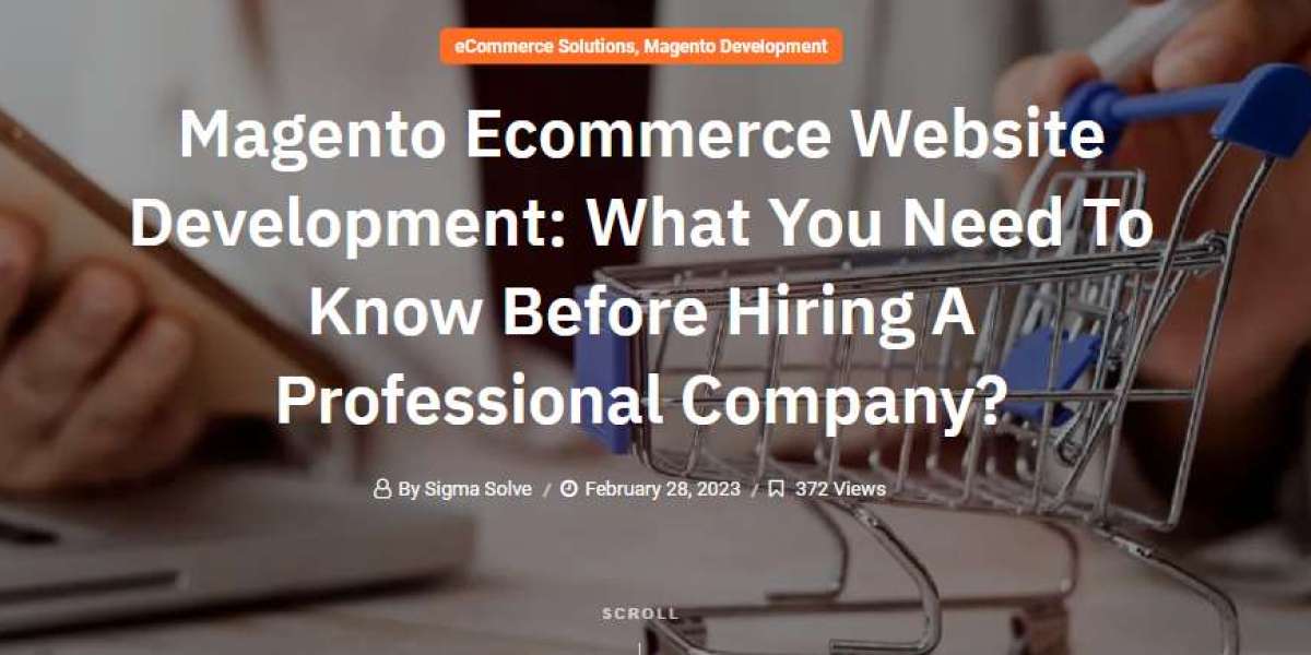 Magento Ecommerce Website Development: What You Need To Know Before Hiring A Professional Company?