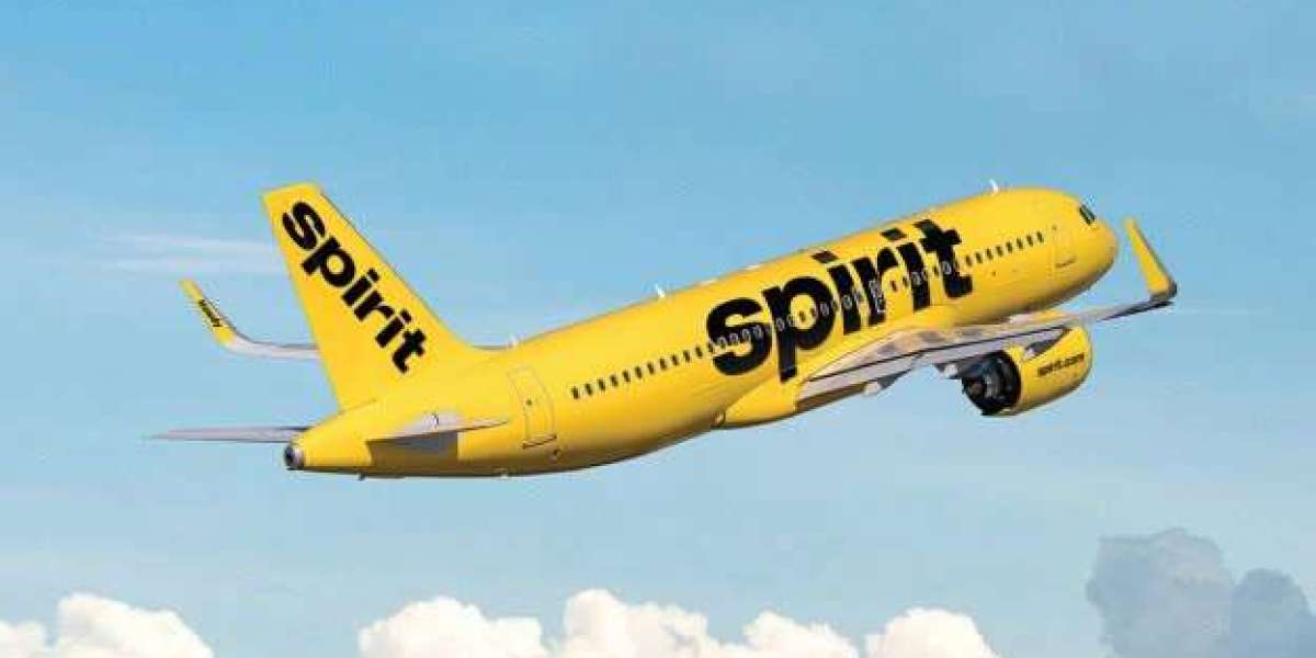 Congregate Various Procedures To Reach Out to the Spirit Airlines Representative