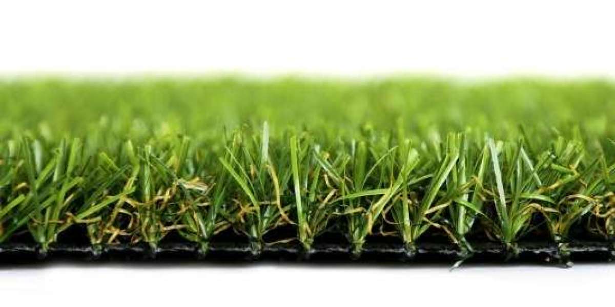 Understanding the Varieties: What to Look for When Shopping Artificial Grass Online