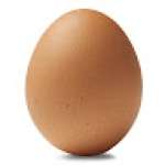 Egg